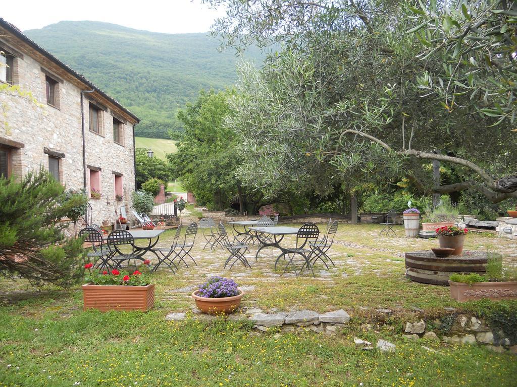 Il Giardino Degli Ulivi Villa Castelraimondo Exteriör bild